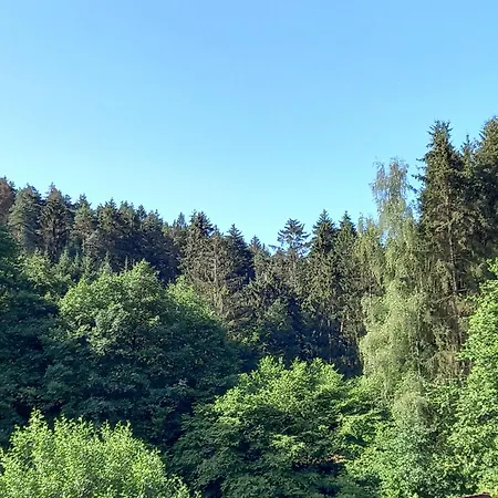 Waldblick Апартаменты *