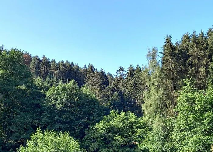 Waldblick Apartment *